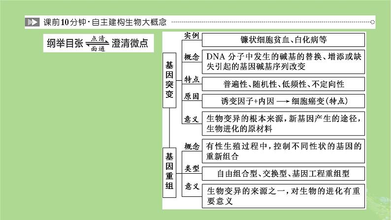 新课标2023版高考生物一轮总复习第七单元生物的变异与进化第1讲基因突变和基因重组课件第3页