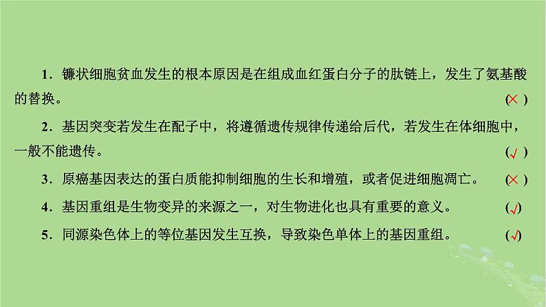 新课标2023版高考生物一轮总复习第七单元生物的变异与进化第1讲基因突变和基因重组课件第4页