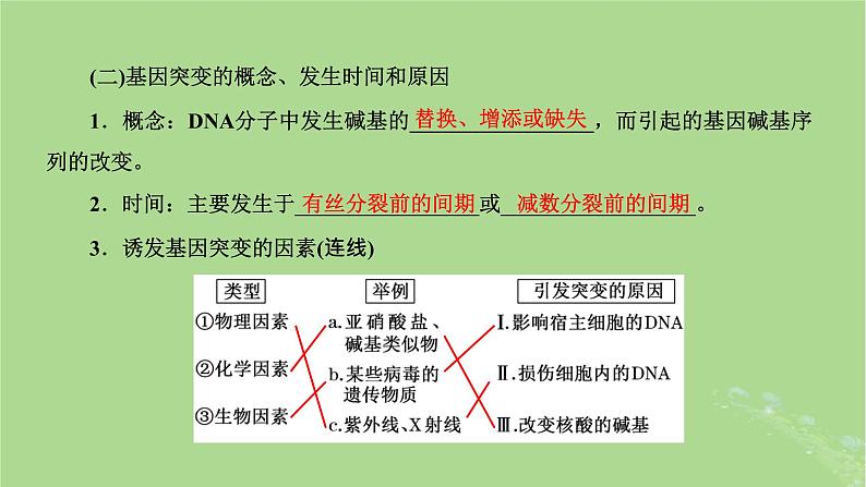 新课标2023版高考生物一轮总复习第七单元生物的变异与进化第1讲基因突变和基因重组课件第7页