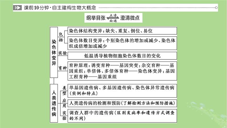 新课标2023版高考生物一轮总复习第七单元生物的变异与进化第2讲染色体变异与育种及人类遗传参件 课件02