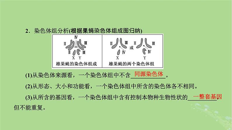 新课标2023版高考生物一轮总复习第七单元生物的变异与进化第2讲染色体变异与育种及人类遗传参件 课件05