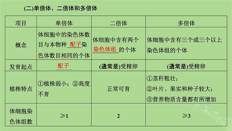 新课标2023版高考生物一轮总复习第七单元生物的变异与进化第2讲染色体变异与育种及人类遗传参件 课件06