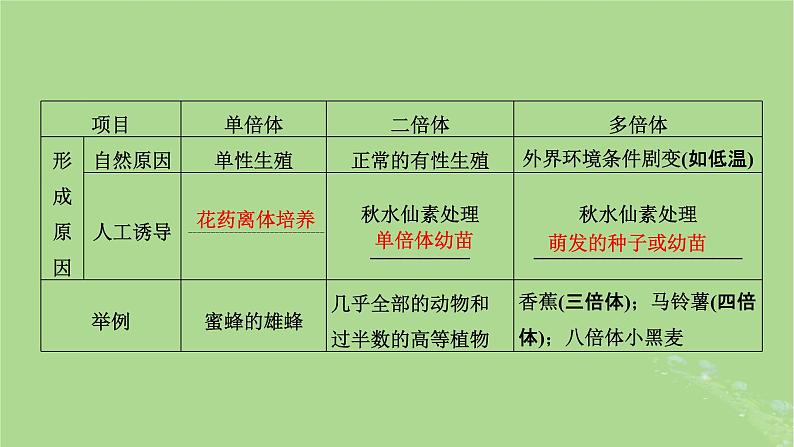 新课标2023版高考生物一轮总复习第七单元生物的变异与进化第2讲染色体变异与育种及人类遗传参件 课件07