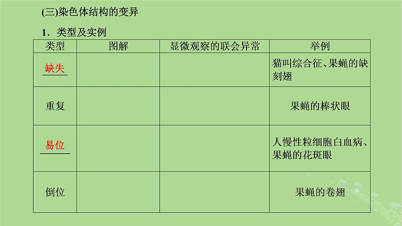 新课标2023版高考生物一轮总复习第七单元生物的变异与进化第2讲染色体变异与育种及人类遗传参件 课件08