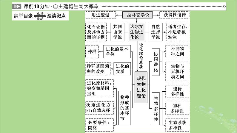 新课标2023版高考生物一轮总复习第七单元生物的变异与进化第3讲生物的进化课件第2页