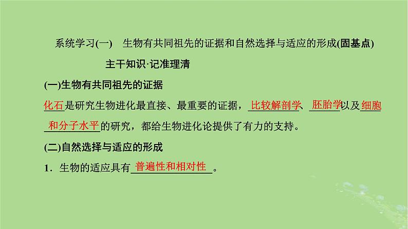 新课标2023版高考生物一轮总复习第七单元生物的变异与进化第3讲生物的进化课件第4页