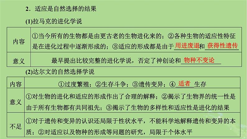 新课标2023版高考生物一轮总复习第七单元生物的变异与进化第3讲生物的进化课件第5页