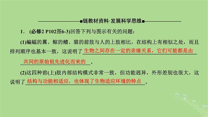 新课标2023版高考生物一轮总复习第七单元生物的变异与进化第3讲生物的进化课件第6页