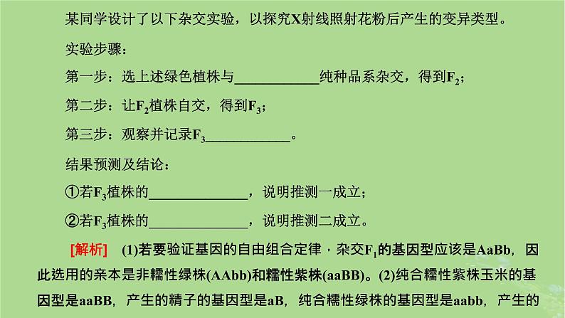 新课标2023版高考生物一轮总复习第七单元生物的变异与进化第5讲生物变异的实验设计及分析课件07