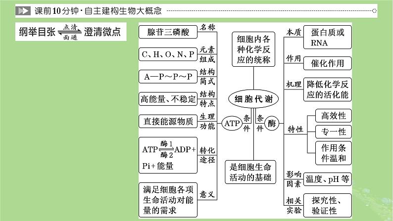 新课标2023版高考生物一轮总复习第三单元细胞的能量供应和利用第1讲酶和ATP课件第3页