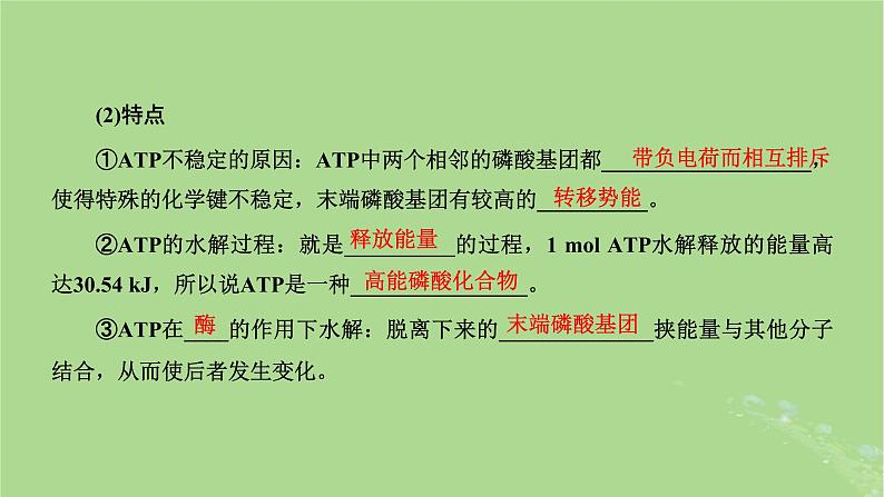 新课标2023版高考生物一轮总复习第三单元细胞的能量供应和利用第1讲酶和ATP课件第6页