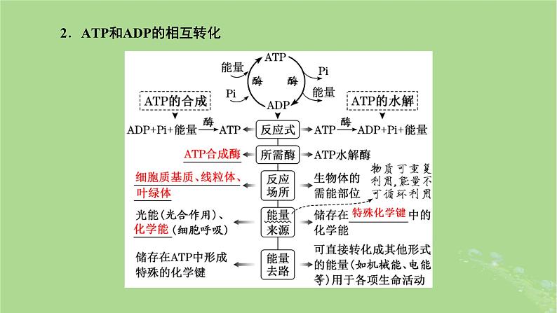 新课标2023版高考生物一轮总复习第三单元细胞的能量供应和利用第1讲酶和ATP课件第7页