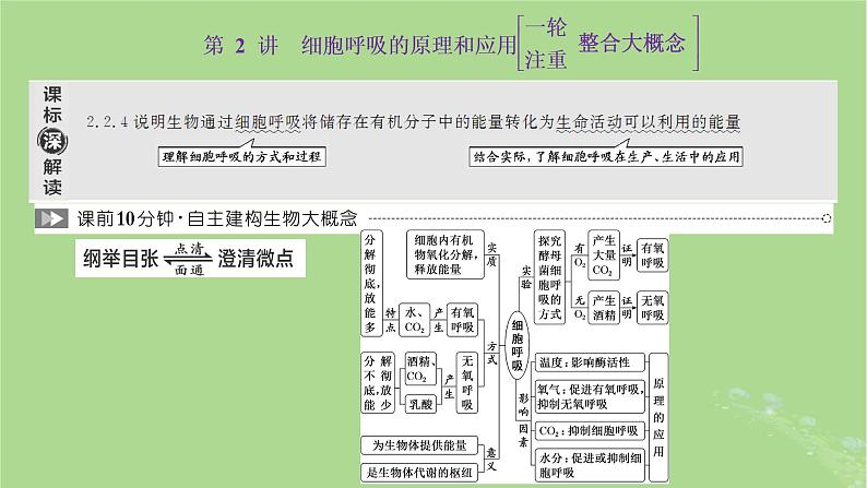 新课标2023版高考生物一轮总复习第三单元细胞的能量供应和利用第2讲细胞呼吸的原理和应用课件01