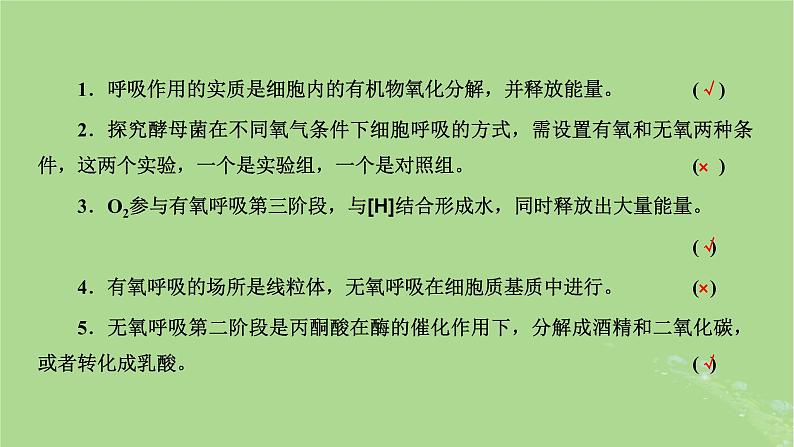 新课标2023版高考生物一轮总复习第三单元细胞的能量供应和利用第2讲细胞呼吸的原理和应用课件02