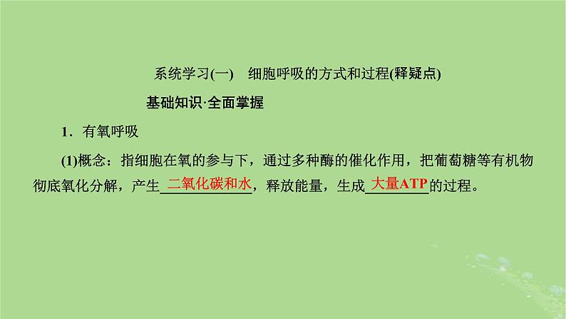 新课标2023版高考生物一轮总复习第三单元细胞的能量供应和利用第2讲细胞呼吸的原理和应用课件03