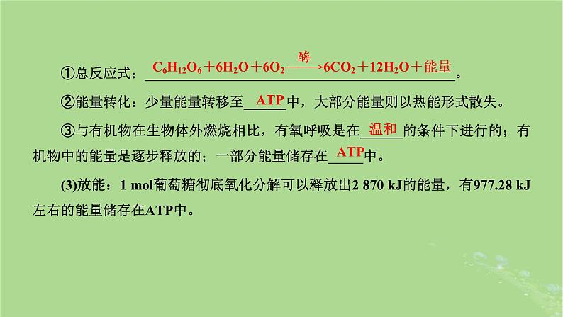 新课标2023版高考生物一轮总复习第三单元细胞的能量供应和利用第2讲细胞呼吸的原理和应用课件05