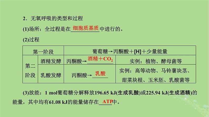 新课标2023版高考生物一轮总复习第三单元细胞的能量供应和利用第2讲细胞呼吸的原理和应用课件06