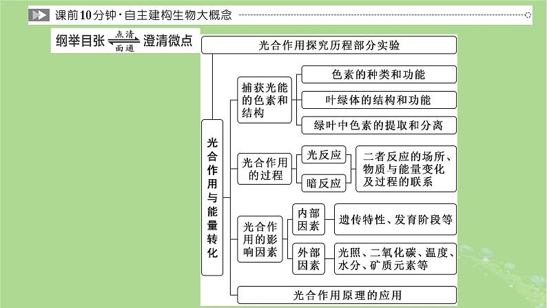 新课标2023版高考生物一轮总复习第三单元细胞的能量供应和利用第3讲光合作用与能量转化课件02