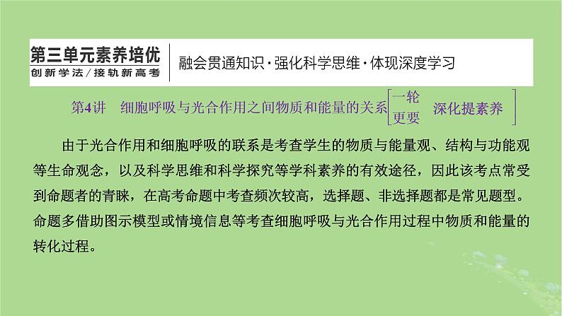 新课标2023版高考生物一轮总复习第三单元细胞的能量供应和利用第4讲细胞呼吸与光合作用之间物质和能量的关系课件第1页