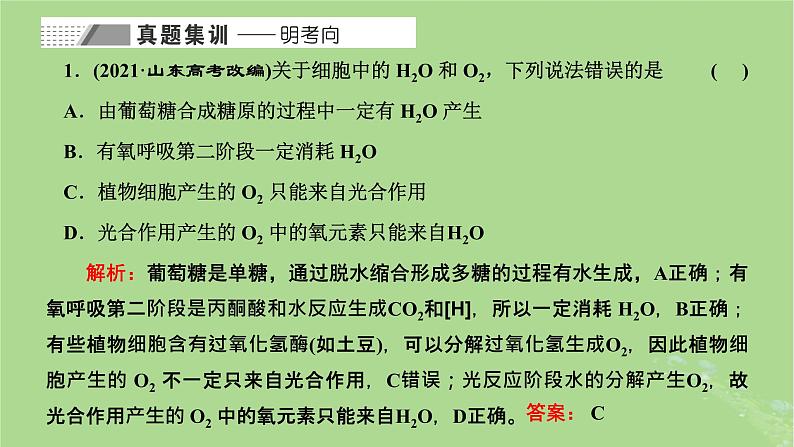 新课标2023版高考生物一轮总复习第三单元细胞的能量供应和利用第4讲细胞呼吸与光合作用之间物质和能量的关系课件第2页