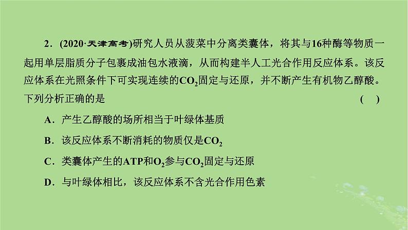 新课标2023版高考生物一轮总复习第三单元细胞的能量供应和利用第4讲细胞呼吸与光合作用之间物质和能量的关系课件第3页