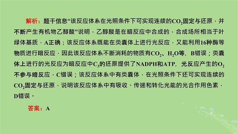 新课标2023版高考生物一轮总复习第三单元细胞的能量供应和利用第4讲细胞呼吸与光合作用之间物质和能量的关系课件第4页