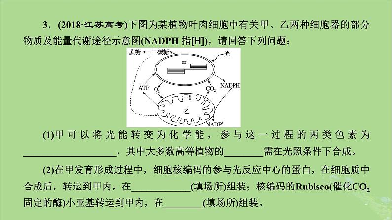 新课标2023版高考生物一轮总复习第三单元细胞的能量供应和利用第4讲细胞呼吸与光合作用之间物质和能量的关系课件第5页