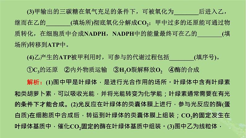 新课标2023版高考生物一轮总复习第三单元细胞的能量供应和利用第4讲细胞呼吸与光合作用之间物质和能量的关系课件第6页