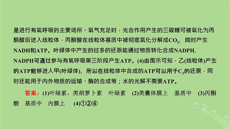 新课标2023版高考生物一轮总复习第三单元细胞的能量供应和利用第4讲细胞呼吸与光合作用之间物质和能量的关系课件第7页