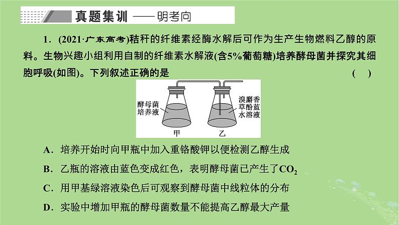 新课标2023版高考生物一轮总复习第三单元细胞的能量供应和利用第6讲细胞呼吸和光合作用的相关实验设计与分析课件02