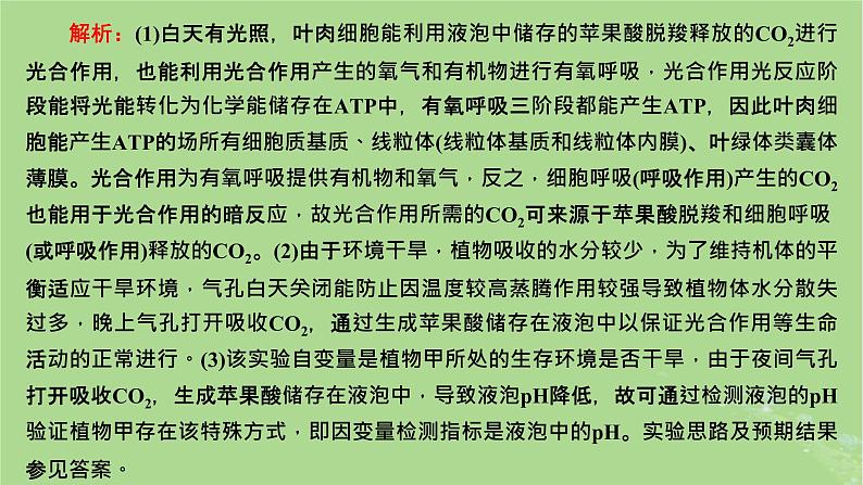 新课标2023版高考生物一轮总复习第三单元细胞的能量供应和利用第6讲细胞呼吸和光合作用的相关实验设计与分析课件05