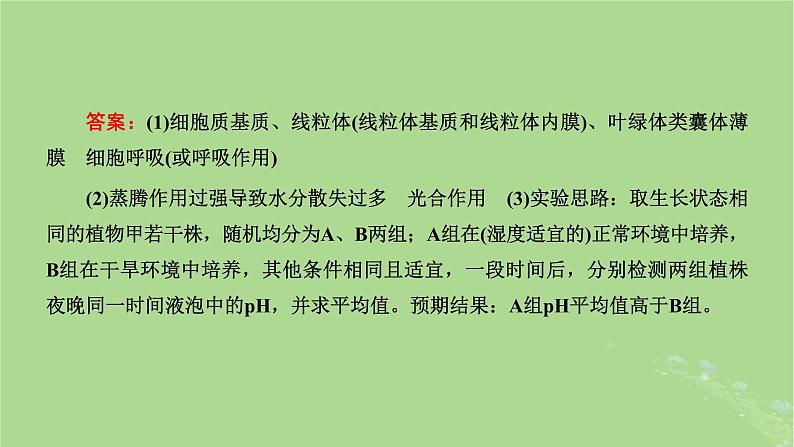 新课标2023版高考生物一轮总复习第三单元细胞的能量供应和利用第6讲细胞呼吸和光合作用的相关实验设计与分析课件06