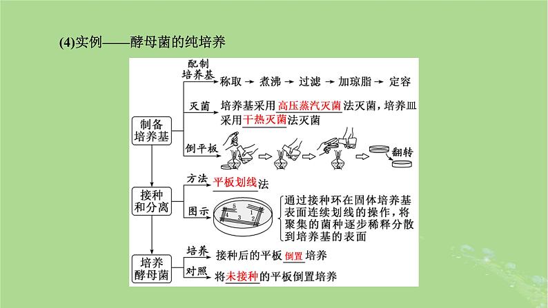 新课标2023版高考生物一轮总复习第十二单元发酵工程第2讲微生物的培养技术及应用课件08