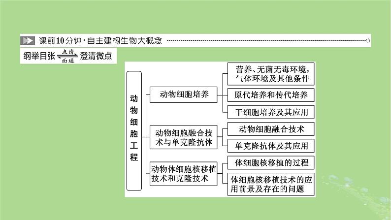 新课标2023版高考生物一轮总复习第十三单元细胞工程第2讲动物细胞工程课件02