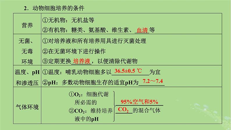 新课标2023版高考生物一轮总复习第十三单元细胞工程第2讲动物细胞工程课件05