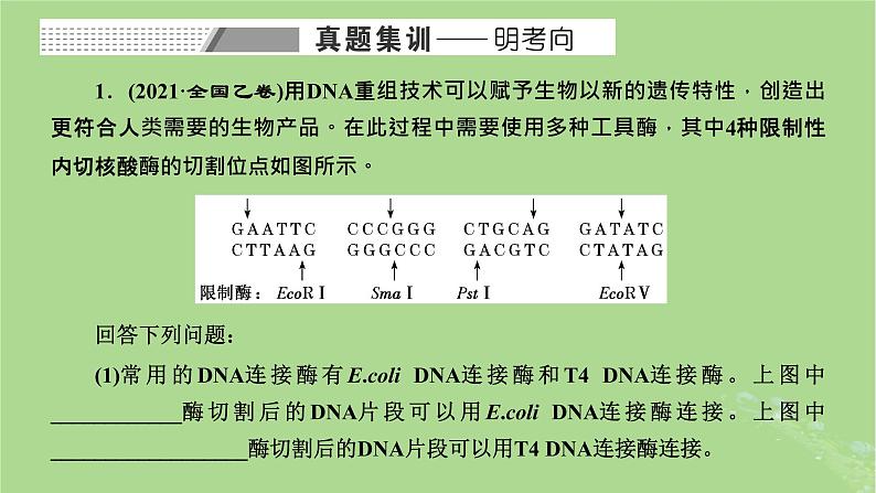 新课标2023版高考生物一轮总复习第十四单元基因工程及生物技术的安全性与伦理问题第2讲重点研究“基因工程操作中限制酶的选择和PCR技术”课件第2页