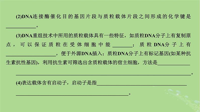 新课标2023版高考生物一轮总复习第十四单元基因工程及生物技术的安全性与伦理问题第2讲重点研究“基因工程操作中限制酶的选择和PCR技术”课件第3页