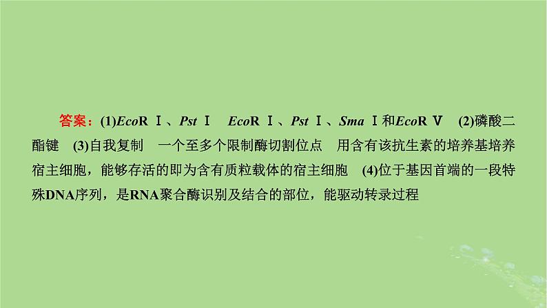 新课标2023版高考生物一轮总复习第十四单元基因工程及生物技术的安全性与伦理问题第2讲重点研究“基因工程操作中限制酶的选择和PCR技术”课件第5页