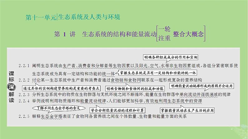 新课标2023版高考生物一轮总复习第十一单元生态系统及人类与环境第1讲生态系统的结构和能量流动课件01