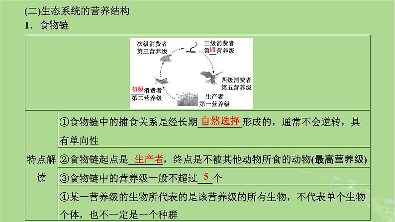 新课标2023版高考生物一轮总复习第十一单元生态系统及人类与环境第1讲生态系统的结构和能量流动课件06