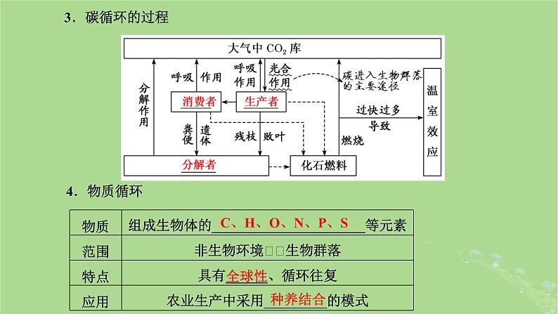 新课标2023版高考生物一轮总复习第十一单元生态系统及人类与环境第2讲生态系统的物质循环信息传递和稳定性课件07