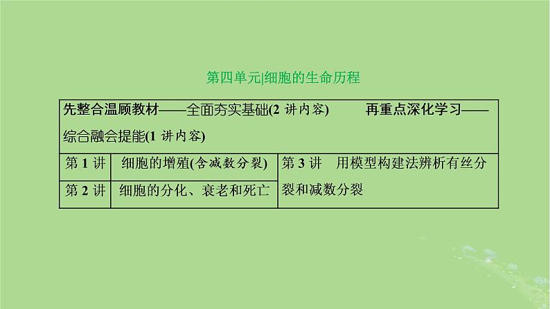 新课标2023版高考生物一轮总复习第四单元细胞的生命历程第1讲细胞的增殖含减数分裂课件01