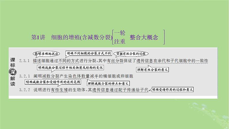 新课标2023版高考生物一轮总复习第四单元细胞的生命历程第1讲细胞的增殖含减数分裂课件02