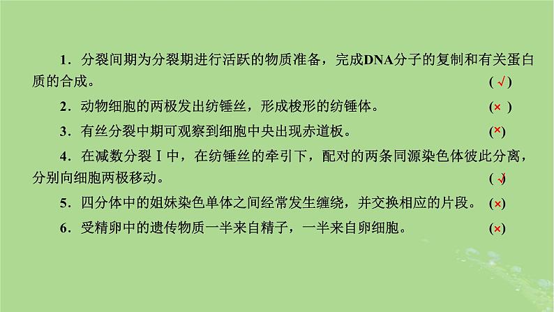 新课标2023版高考生物一轮总复习第四单元细胞的生命历程第1讲细胞的增殖含减数分裂课件04