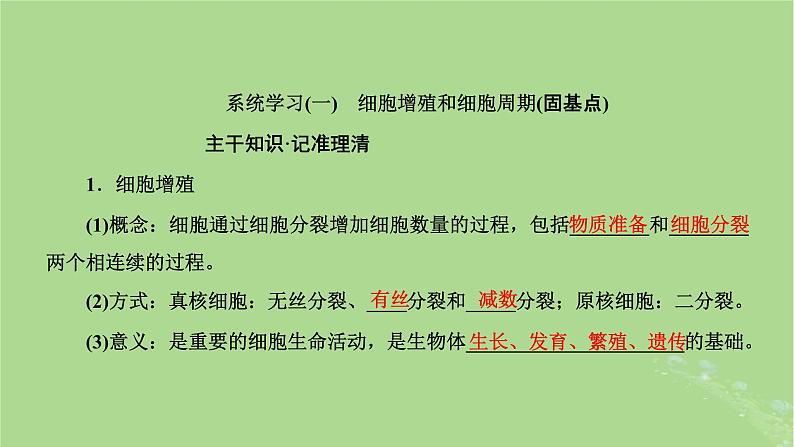 新课标2023版高考生物一轮总复习第四单元细胞的生命历程第1讲细胞的增殖含减数分裂课件05