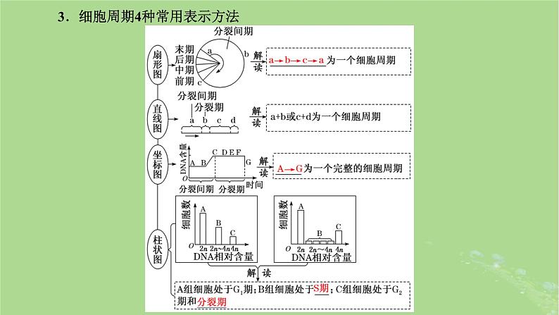 新课标2023版高考生物一轮总复习第四单元细胞的生命历程第1讲细胞的增殖含减数分裂课件07