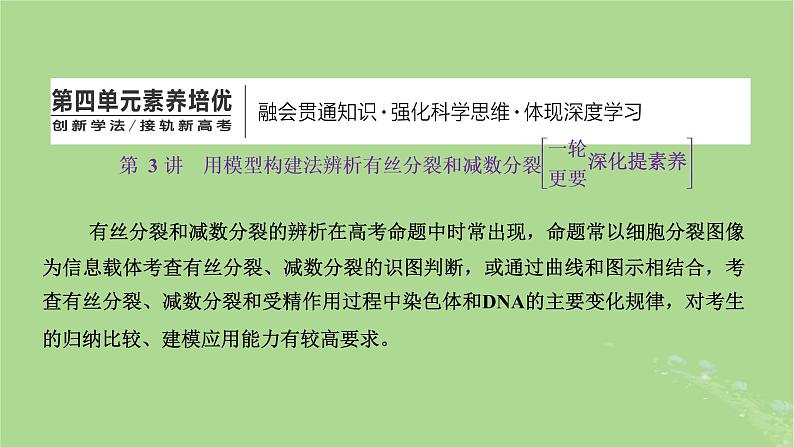 新课标2023版高考生物一轮总复习第四单元细胞的生命历程第3讲用模型构建法辨析有丝分裂和减数分裂课件第1页