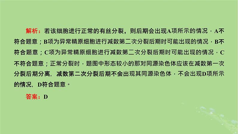 新课标2023版高考生物一轮总复习第四单元细胞的生命历程第3讲用模型构建法辨析有丝分裂和减数分裂课件第3页