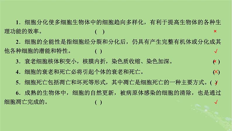 新课标2023版高考生物一轮总复习第四单元细胞的生命历程第2讲细胞的分化衰老和死亡课件第2页