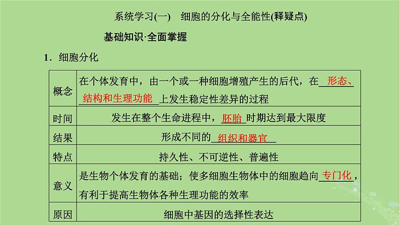 新课标2023版高考生物一轮总复习第四单元细胞的生命历程第2讲细胞的分化衰老和死亡课件第3页